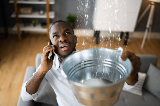 Best Professional water damage repair  in St Vincent College, PA