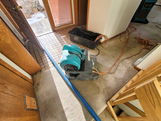 Best Water damage restoration near me  in St Vincent College, PA