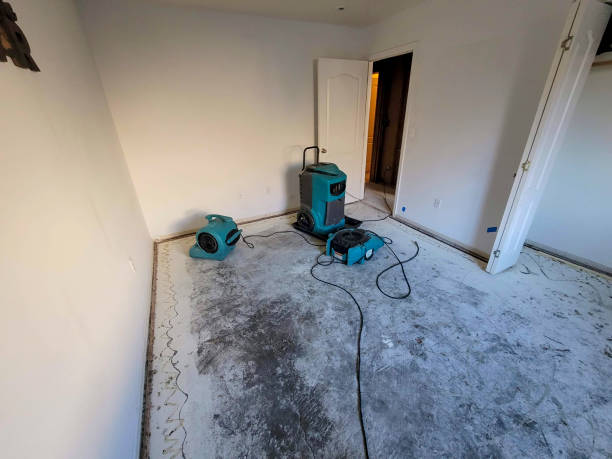 Best Residential water damage restoration  in St Vincent College, PA