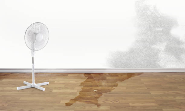 Best Commercial water damage restoration  in St Vincent College, PA