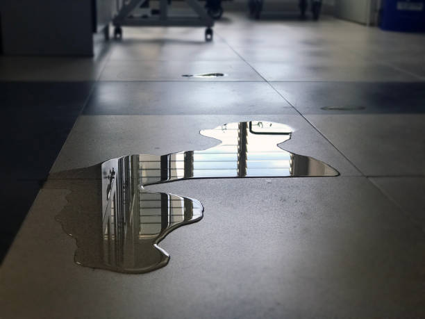 Best Water damage contractors near me  in St Vincent College, PA