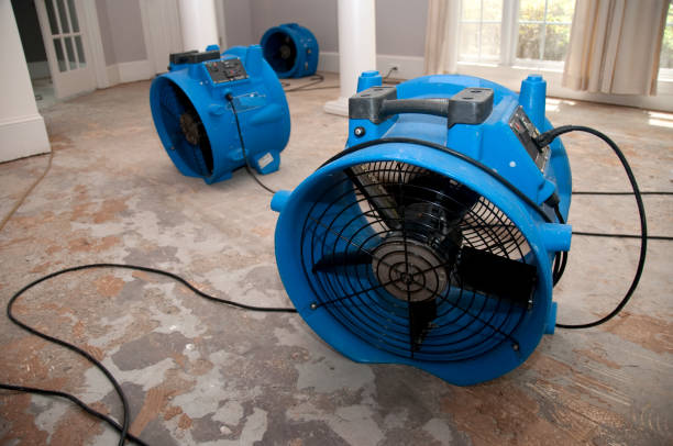 Best Water damage mitigation services  in St Vincent College, PA