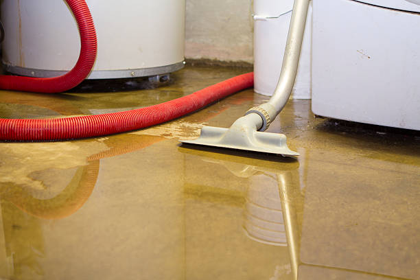 Best Water damage cleanup near me  in St Vincent College, PA