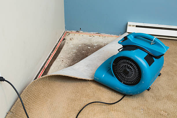 Best Local water damage restoration  in St Vincent College, PA